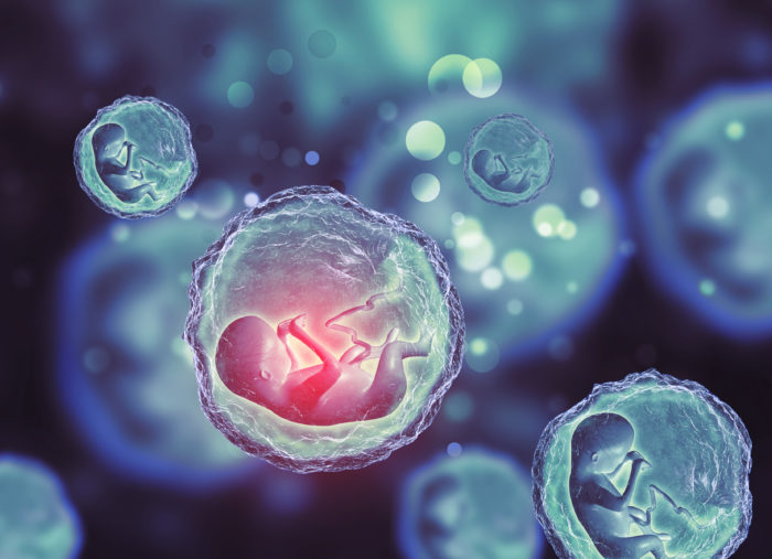 The Ethics of Embryo Adoption