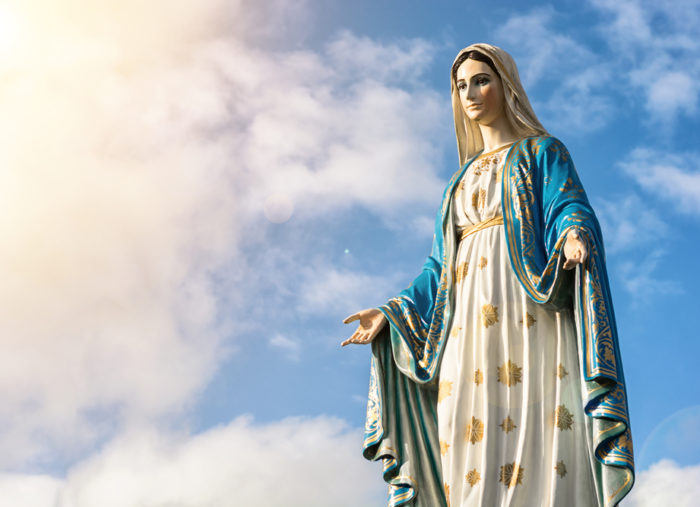 What is the Immaculate Conception?