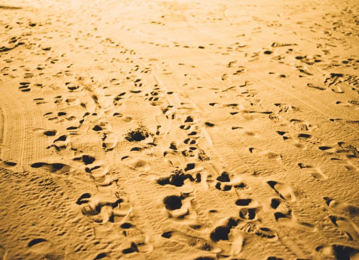 National Migration Week: Many Journeys, One Family