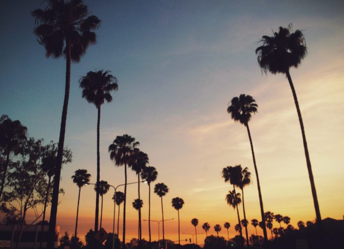 OneLife LA: A New Type of Pro-Life Event