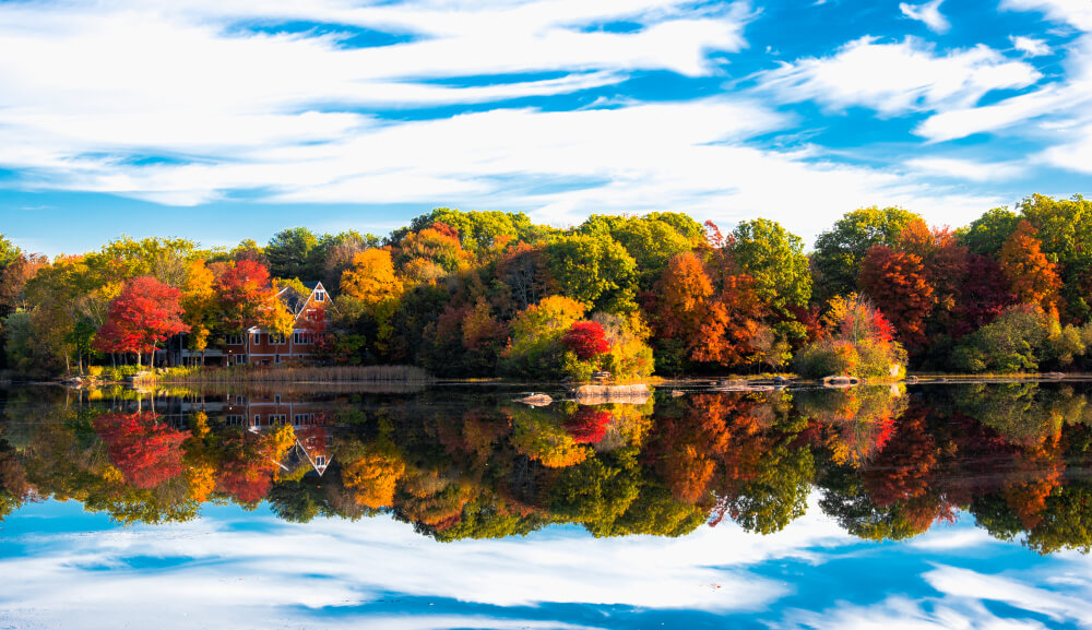 Autumn scene on lake