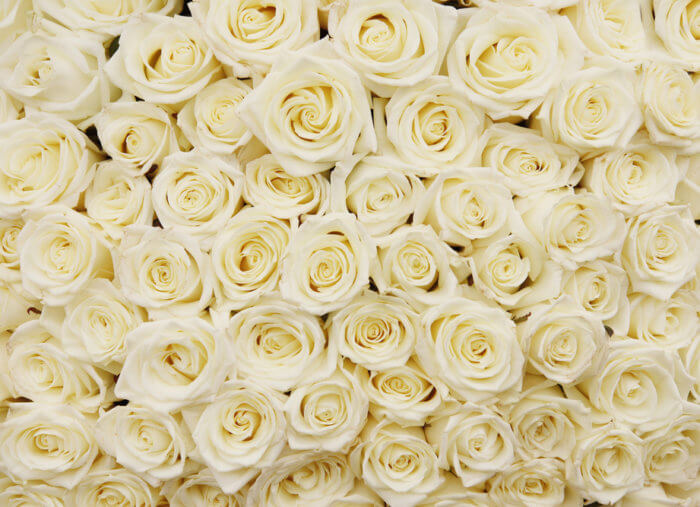 Gifts for the Blessed Mother