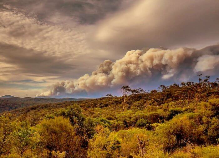 Australian bishops ask for Catholic response to fires