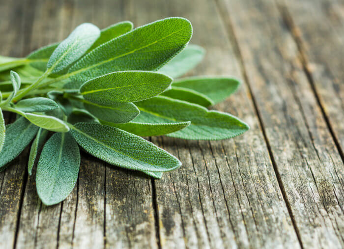 Is Sage Burning Compatible with Catholicism?