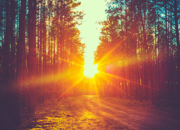 Look for the Light
