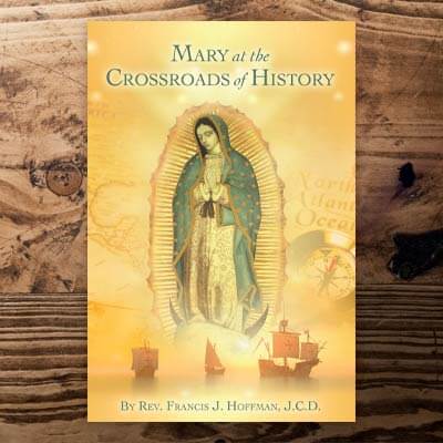 Mary at the Crossroads of History Book by Fr Rocky