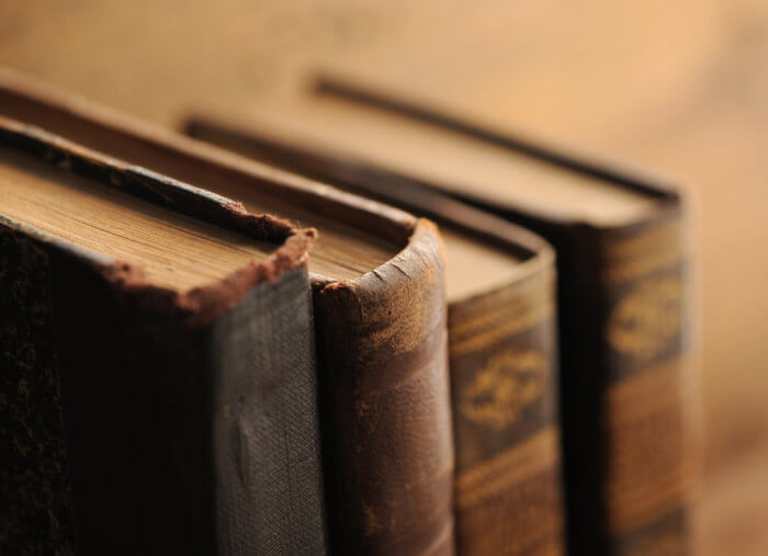 The Smartest People at Yale Were Catholic: A Reversion Story