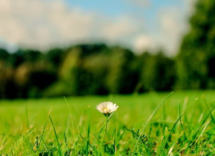 Seeking Simplicity in Your Faith Life Seeking Simplicity in Your Faith Life