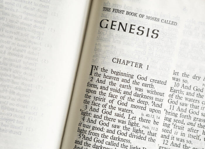 Start at the Beginning With This New Bible Series on Genesis