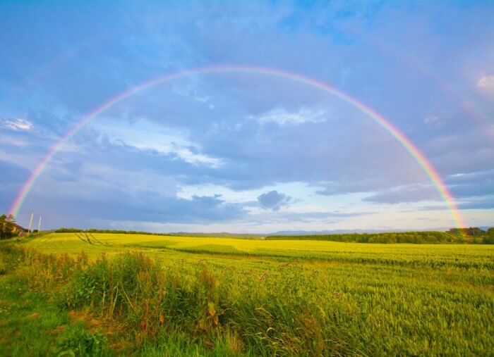 The Significance of the Rainbow