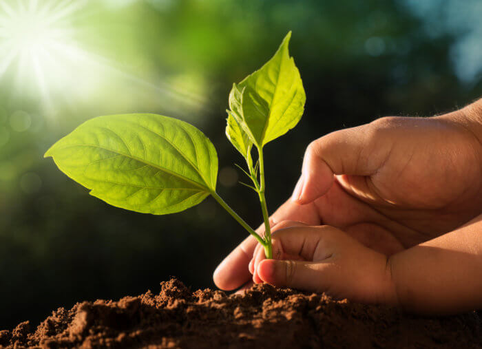 God’s Command to Care for Creation