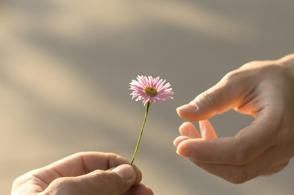 Giving a gift, a flower, to another