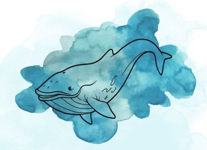 Inside the Book of Jonah (The Faith Explained) Inside the Book of Jonah (The Faith Explained)