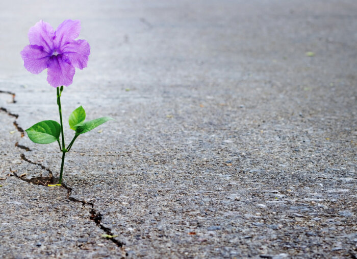 Where’s the Joy in Life’s Trials? (The Inner Life with Patrick Conley) Where’s the Joy in Life’s Trials? (The Inner Life with Patrick Conley)