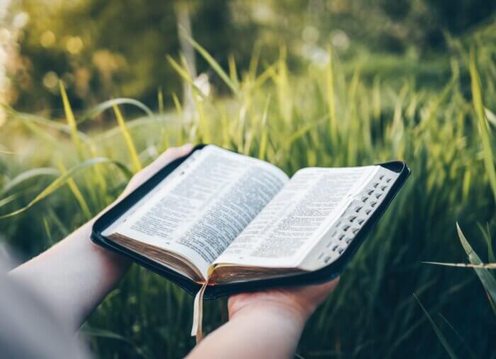 Misogynistic or Misunderstood? Unpacking St. Paul’s Letter to Titus! (The Faith Explained)