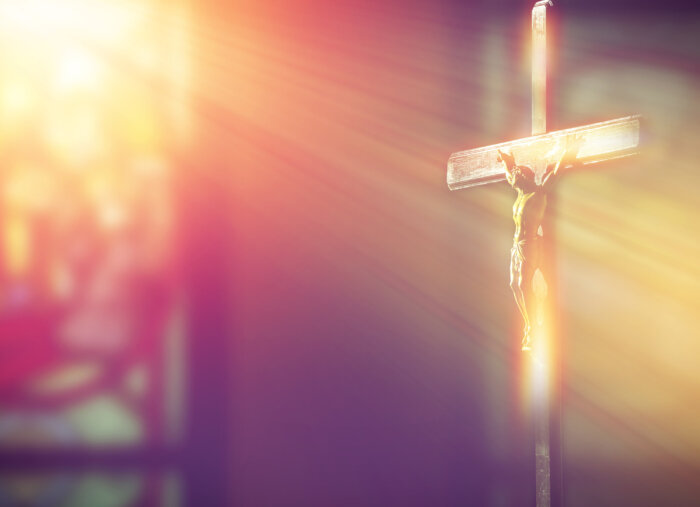 A Catholic Response to Mormonism (The Faith Explained)