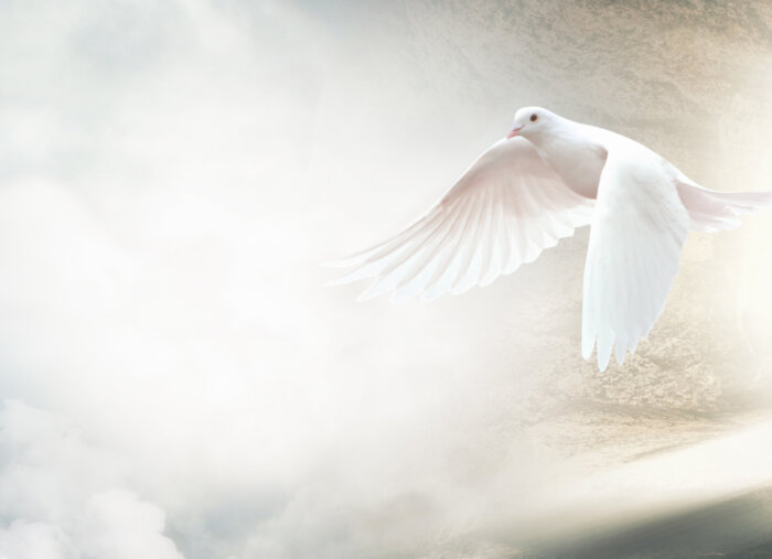 What’s the Nature of the Holy Spirit? (The Patrick Madrid Show) What’s the Nature of the Holy Spirit? (The Patrick Madrid Show)