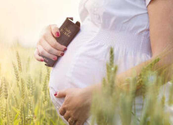 The NY Times is Wrong: Maternal Instinct is not a Myth (Trending with Timmerie) The NY Times is Wrong: Maternal Instinct is not a Myth (Trending with Timmerie)