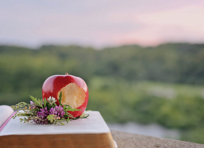 Did Adam and Eve Need to Eat Before the Fall? (The Patrick Madrid Show) Did Adam and Eve Need to Eat Before the Fall? (The Patrick Madrid Show)
