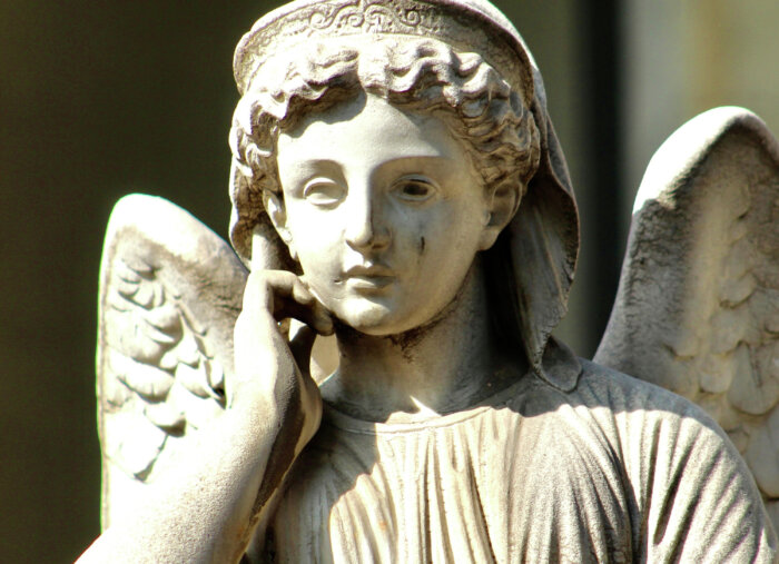 Things You Never Knew About Your Guardian Angel (Trending with Timmerie)