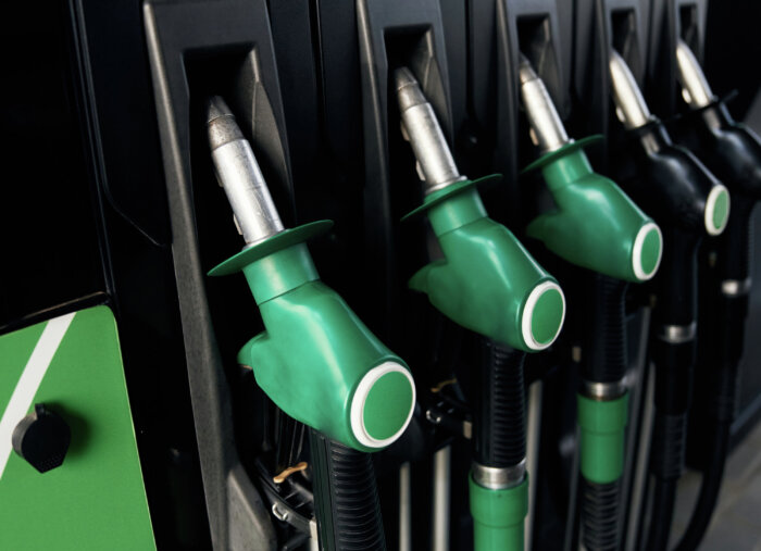 “For Lower Gas Prices and Good Leaders” – Out of the Mouths of Kids! (Family Rosary Across America)