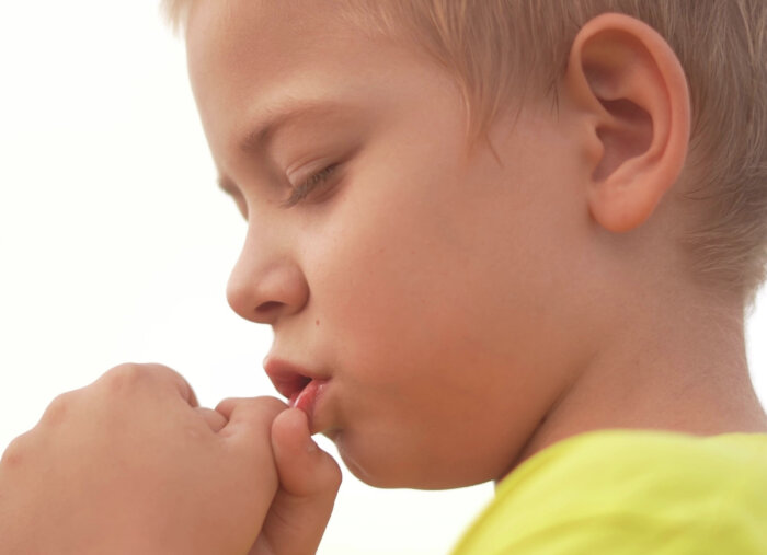Prayers to Stitch Hearts (Top Episode of 2024 for Family Rosary Across America)