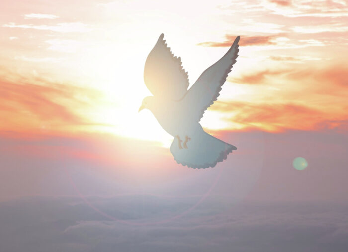 🕊️ The Holy Spirit and Heroic Transformation (The Inner Life with Patrick Conley)