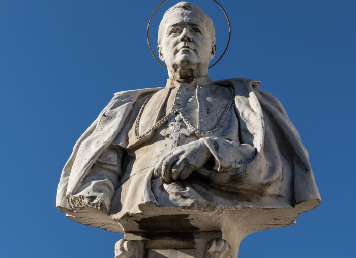 Pope St. Pius X: The Humble Shepherd Who Led Us to the Eucharist Pope St. Pius X: The Humble Shepherd Who Led Us to the Eucharist