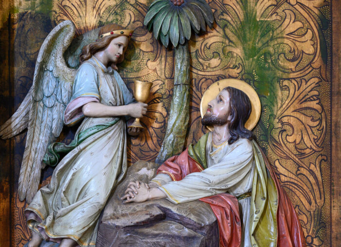 The Holy Father’s General Audience on Sacrifice, Suffering, and Surrender (Morning Air)