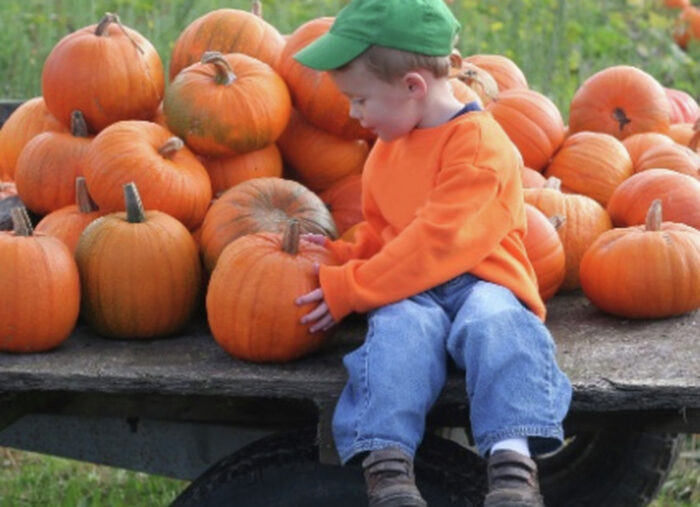 Should Catholics Celebrate Halloween? (The Patrick Madrid Show) Should Catholics Celebrate Halloween? (The Patrick Madrid Show)