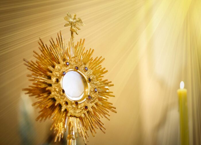 A Moment of Adoration, A Life Saved (Family Rosary Across America) A Moment of Adoration, A Life Saved (Family Rosary Across America)