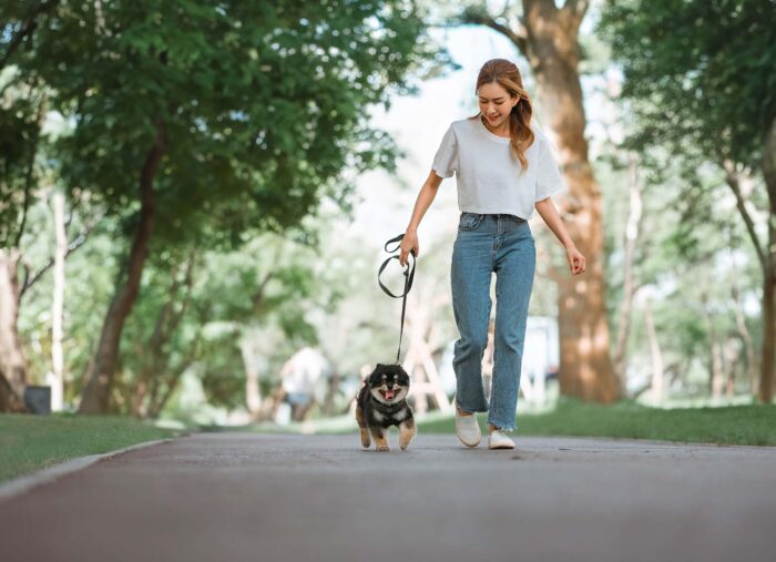 Love Your Dog, Love Your Neighbor: The Etiquette That Keeps Everyone Safe (The Drew Mariani Show)