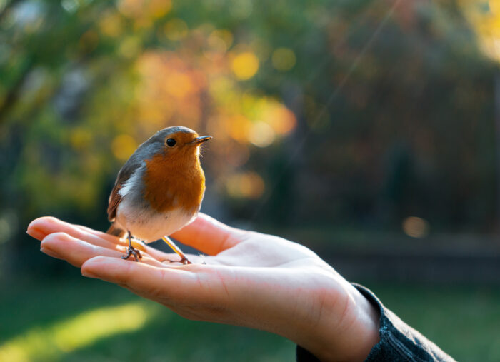 Meekness Is Not Weakness (Trending with Timmerie) Meekness Is Not Weakness (Trending with Timmerie)