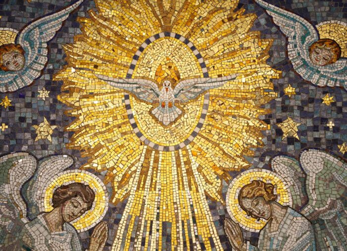 Pope Leo’s Message for the World Day of Peace