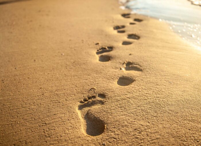 Learning to Follow in the Footsteps of Christ