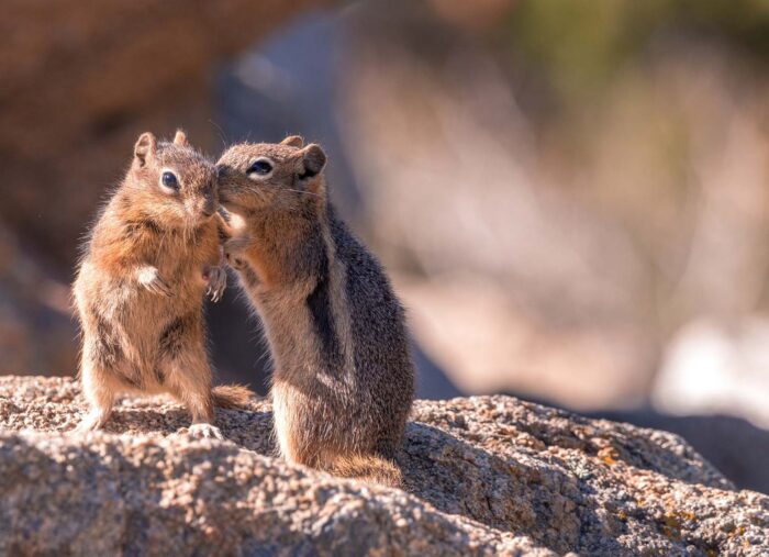 How to Spot Gossip Disguised as Conversation (Morning Air)