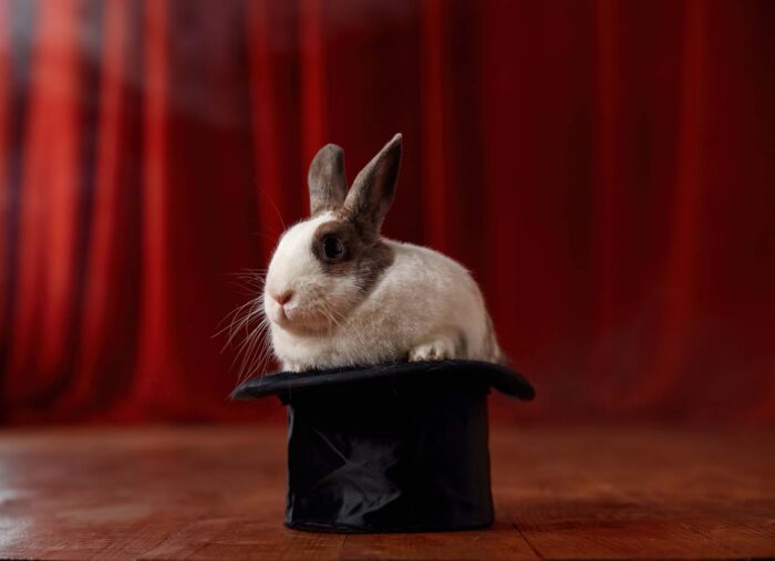 How Should We Explain “Magic” in Movies to Our Kids? (The Patrick Madrid Show)