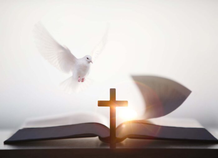 When the Holy Spirit Whispers (The Tim Glemkowski Show) When the Holy Spirit Whispers (The Tim Glemkowski Show)