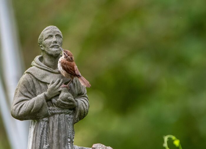 Finding God in Nature’s Quiet Beauty (The Inner Life)