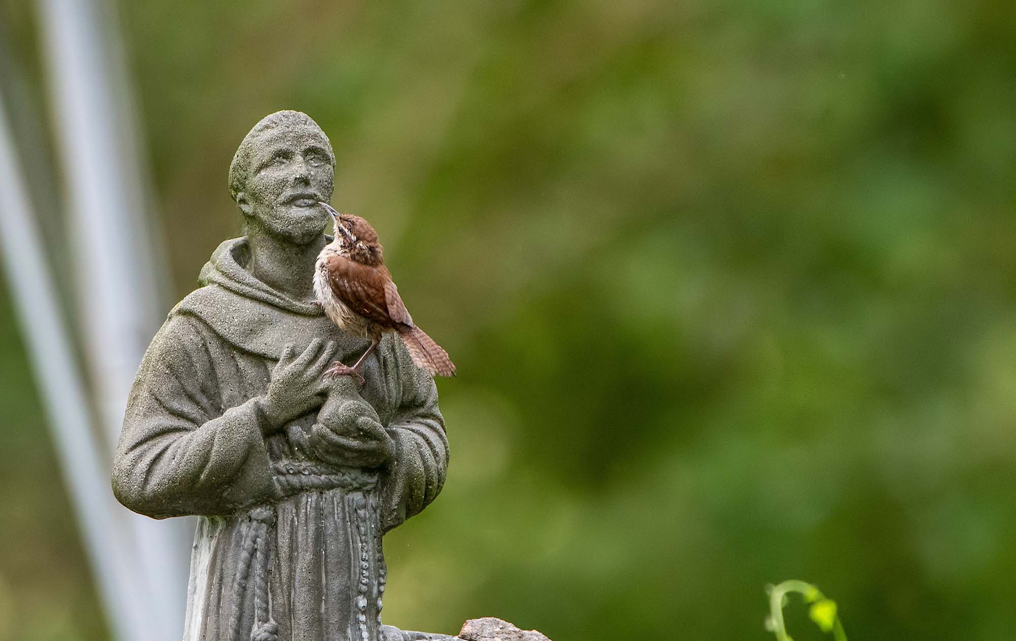 Finding God in Nature's Quiet Beauty (The Inner Life)