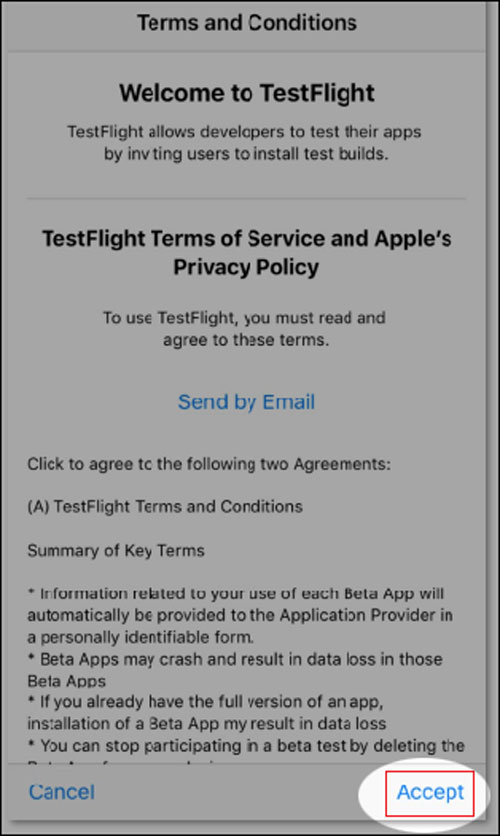 TestFlight Terms and Conditions screen with the Agree button