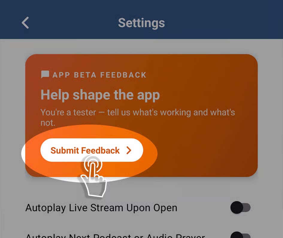 The Settings screen with the App Beta Feedback card and its Submit Feedback button highlighted.