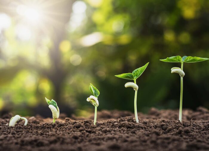 Want to Grow in Virtue? Start With Your Strengths (The Mark Swartzberg Show) Want to Grow in Virtue? Start With Your Strengths (The Mark Swartzberg Show)